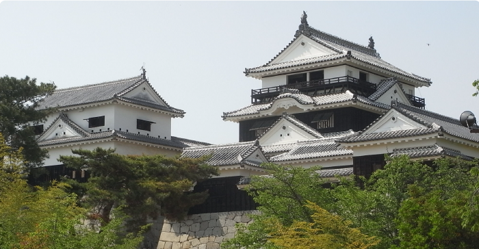 松山城は、日本で12か所しか残っていない、江戸時代以前に建造された天守を有する城郭の一つです。お城の他、天守閣からは松山の街が見下ろせる絶景スポットです。ぜひロープウェイに乗って、足を運んでみてください。